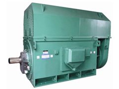 YJTFKK5001-4-800KWY系列6KV高压电机