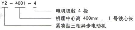 YR系列(H355-1000)高压YJTFKK5001-4-800KW三相异步电机西安西玛电机型号说明